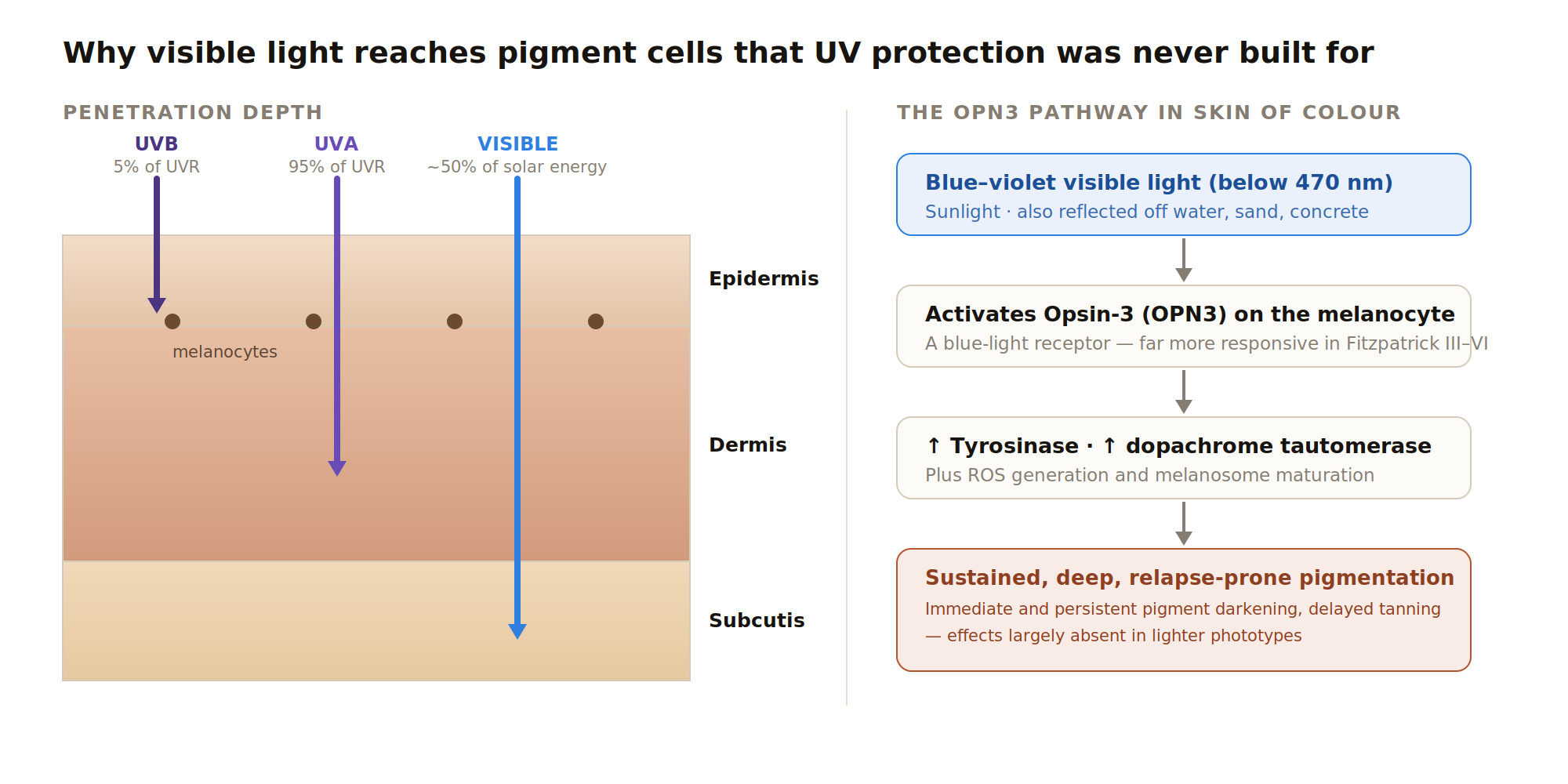 Skin penetration depth and the OPN3 pigmentation pathway